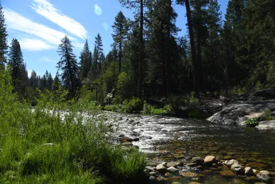 DSC_4301 (Large).JPG